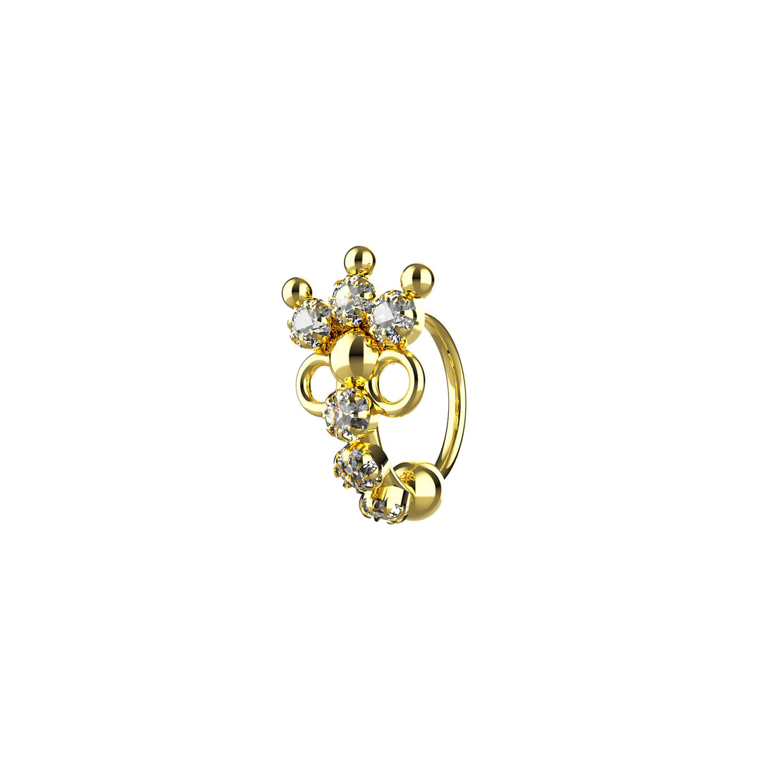 Nose hoop earrings