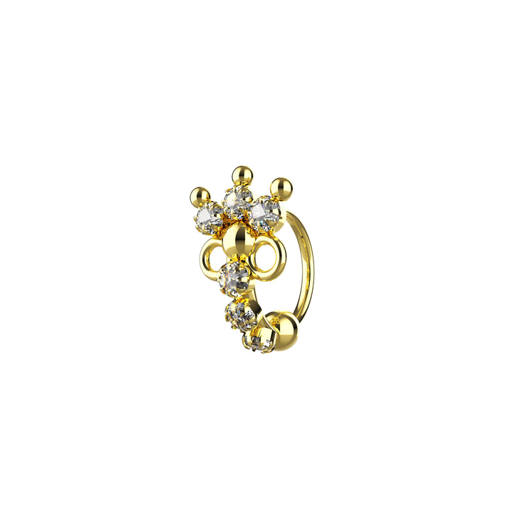 Nose hoop earrings