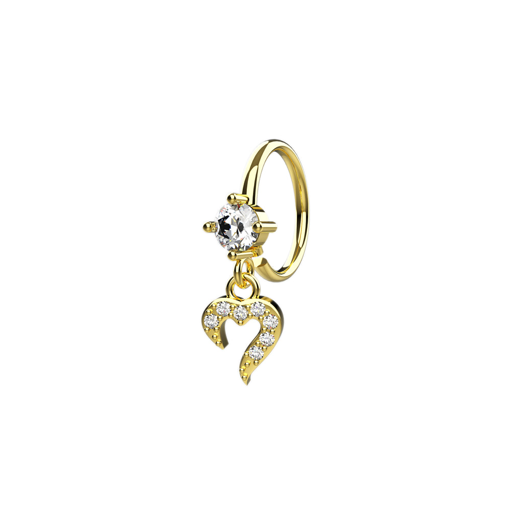 Nose hoop – trendy and bold nose jewelry