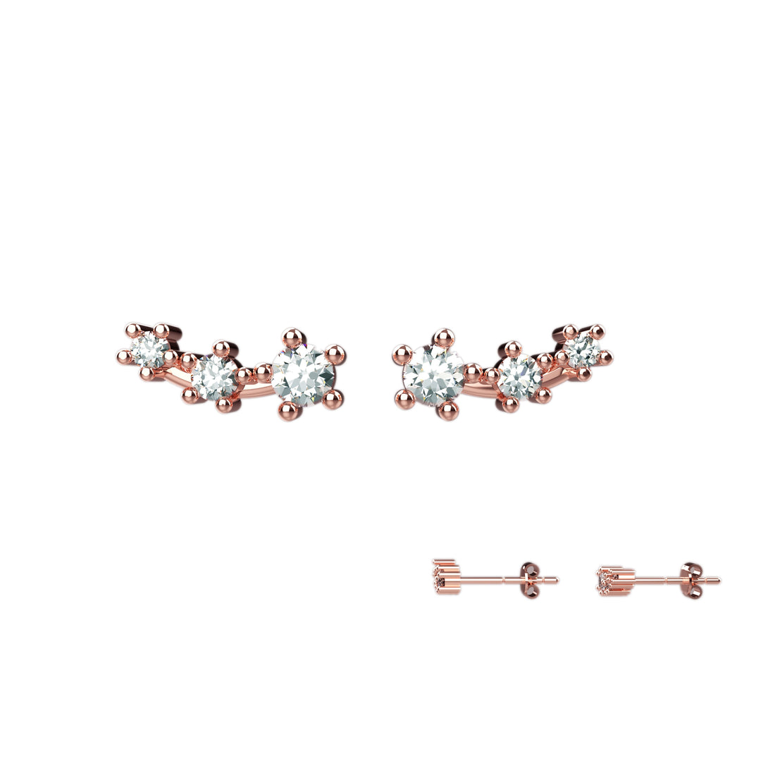 Stylish ear climber earrings