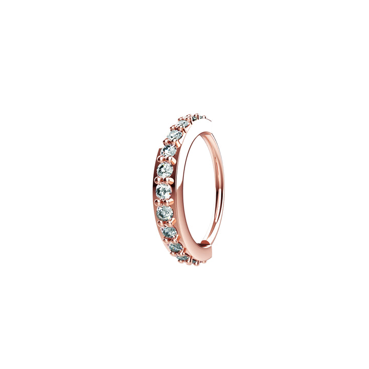 Gold Nose Hoop – perfect for every occasion