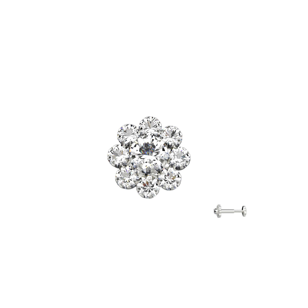  Nose rings and studs – perfect for any occasion