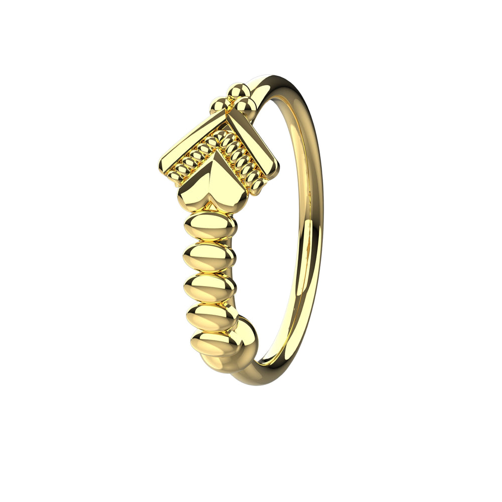 Gold Indian nose hoop