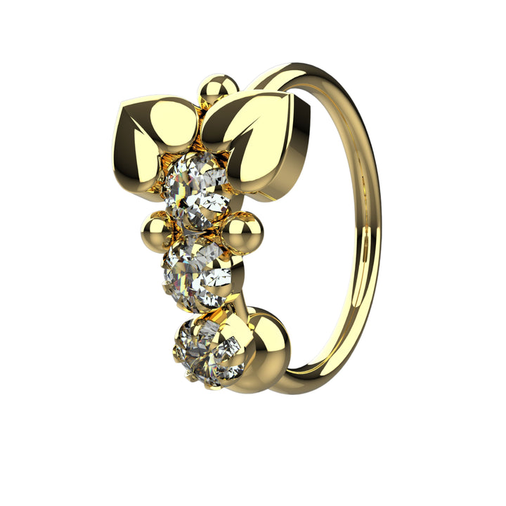 Nose Ring – elegant and stylish design